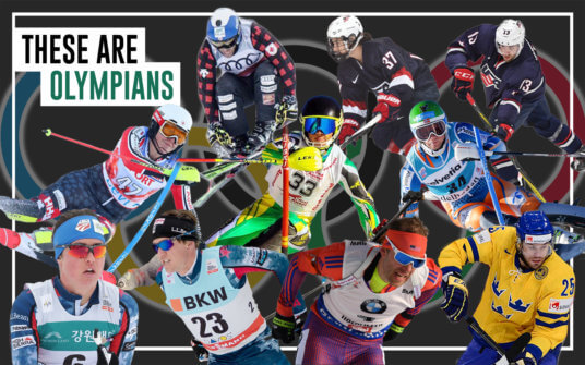 Cats at the Olympics