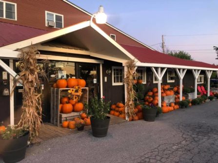 pumpkins and cornstalks in front of of a market
