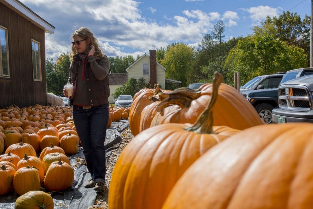 a woman walking amongst many pumpkins on a farm