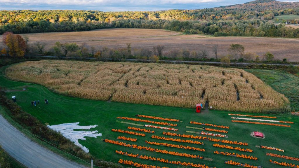 ariel shot of a farm, corn maze, and pumpkins laid out