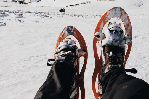 closeup of two orange snowshoes