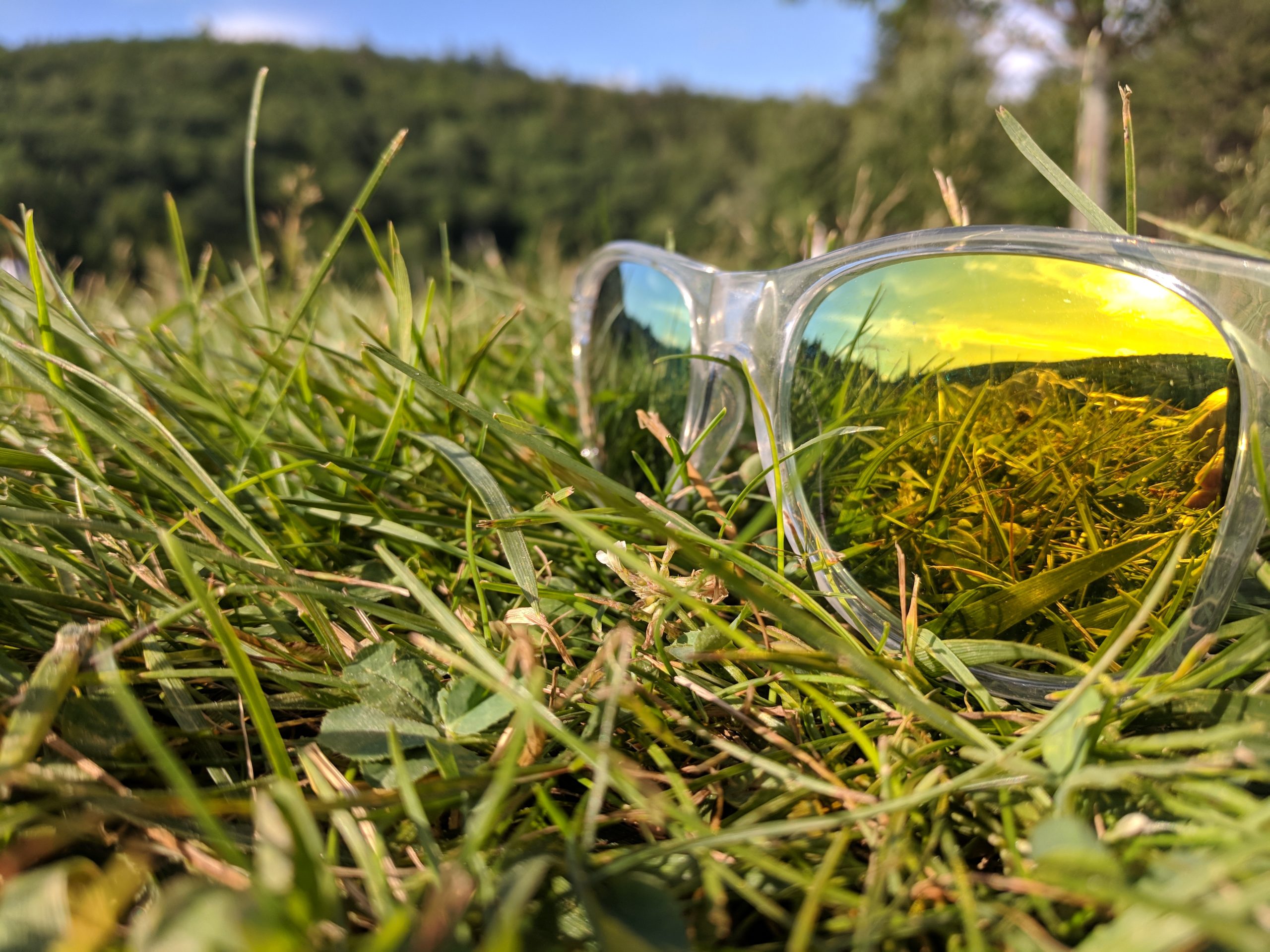 reflective sunglasses in grass
