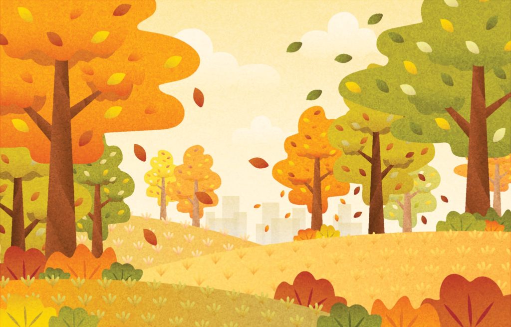 fall leaves graphic