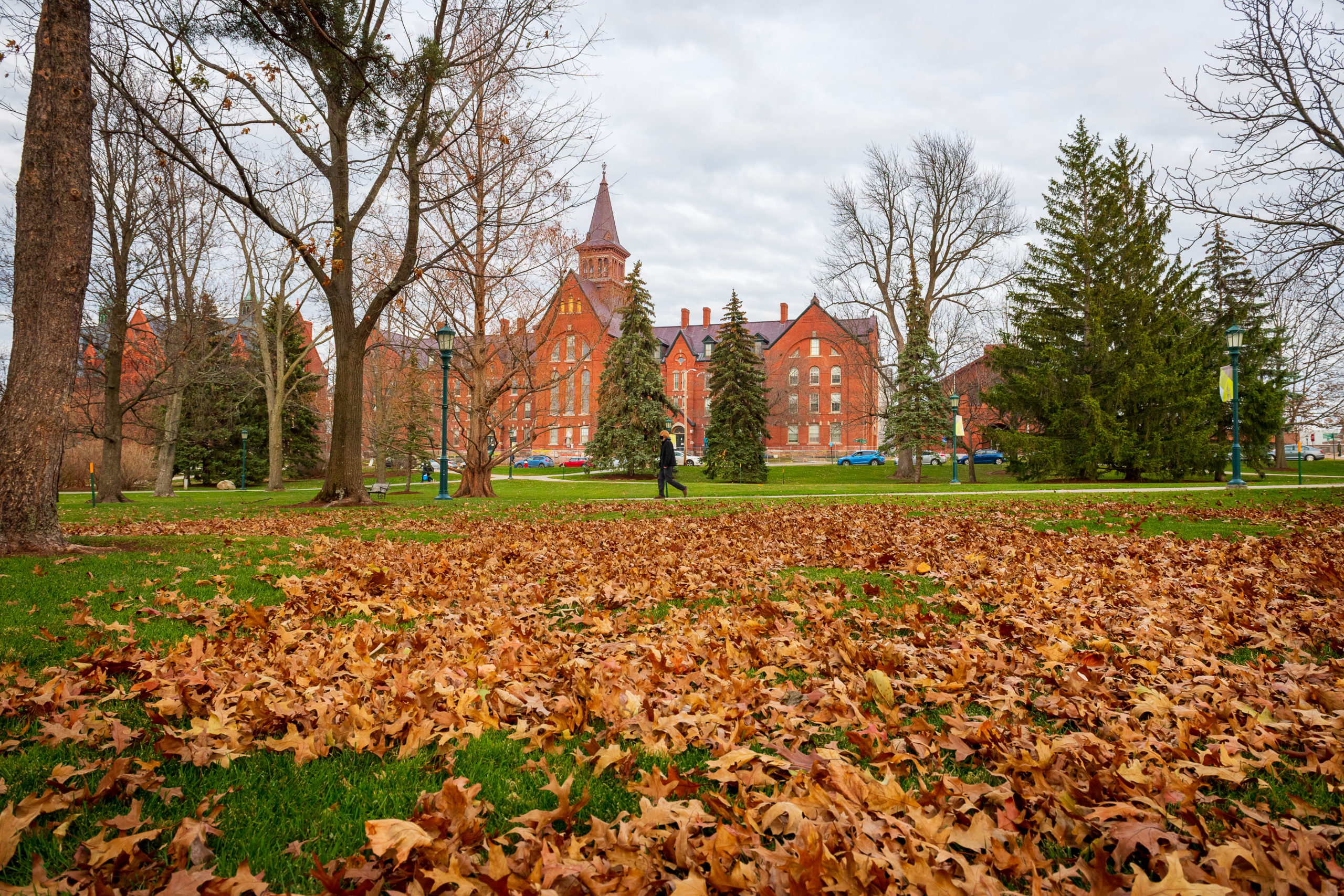 Fallen leaves on the Waterman Green, with a view of Williams Hall in the distance