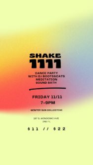 thumbnail for SHAKE 11/11 Dance Party