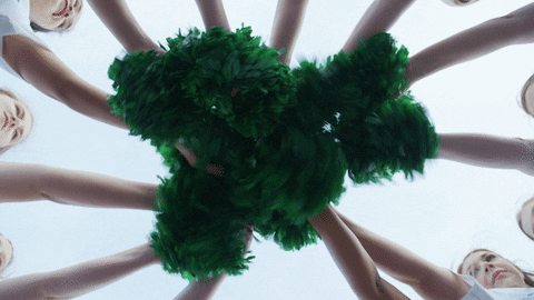 Green pom-poms are ruffling over the camera as they quickly lift into the air