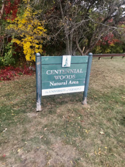green UVM sign with text "Centennial Wood Natural Area"
