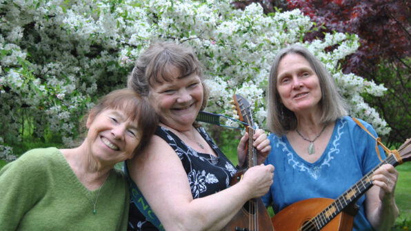 thumbnail for Summer Concert Series: Young Tradition Vermont – Va et Vient