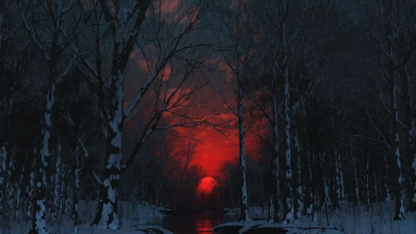 a red sun in a dark forest
