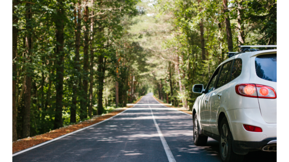 a white car on the left side driving on a paved road beneath a green tree canopy