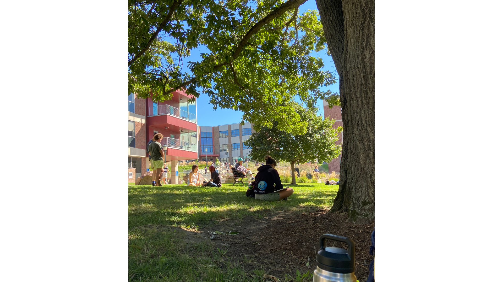 the sun shines as people sit on the andrew harris green