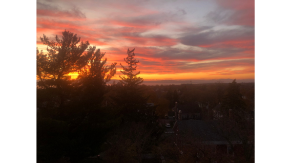 An orange sky as it sets, with a big tree silloutte in the corner and the town below
