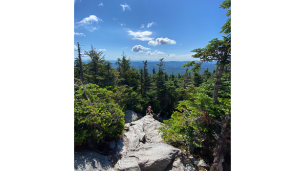the top of a mountain with a rock in the foreground and trees lining the area.