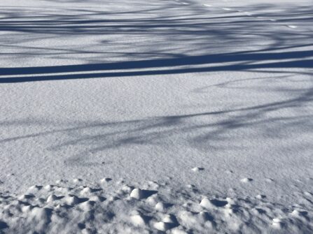 shadows on snow