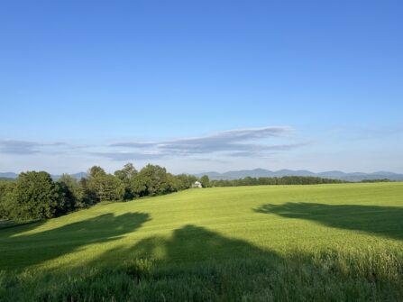 Sunny field in northern Vermont